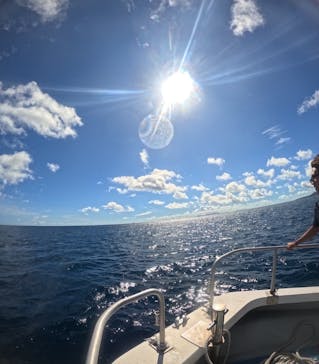 西表島 ADVENTURE PiPi（アドベンチャーピピ）に投稿された画像（2024/7/10）