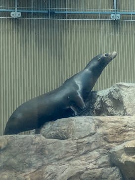 サンシャイン水族館に投稿された画像（2024/7/10）