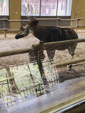 よこはま動物園ズーラシアに投稿された画像（2024/7/10）
