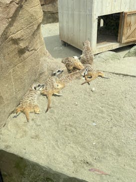 よこはま動物園ズーラシアに投稿された画像（2024/7/10）