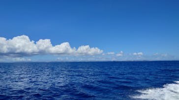 Sea World（シーワールド）に投稿された画像（2024/7/10）