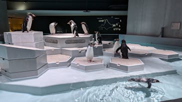 AOAO SAPPOROに投稿された画像（2024/7/10）