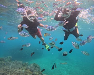 EGGダイビングに投稿された画像（2024/7/10）