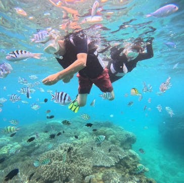 EGGダイビングに投稿された画像（2024/7/10）