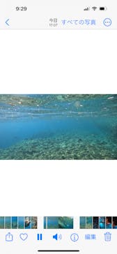 武藤潜水に投稿された画像（2024/7/10）