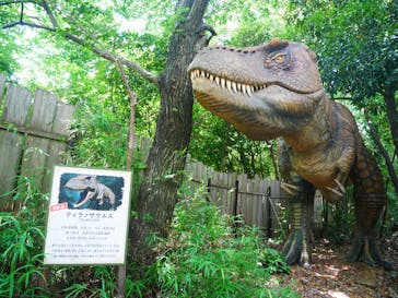 ディノアドベンチャー名古屋に投稿された画像（2024/7/11）