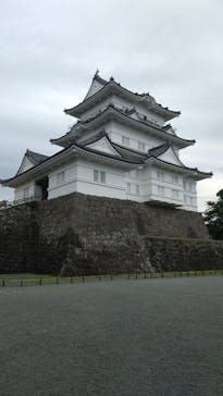 小田原城に投稿された画像（2024/7/11）