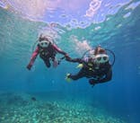 沖縄マリンサービス碧に投稿された画像（2024/7/11）