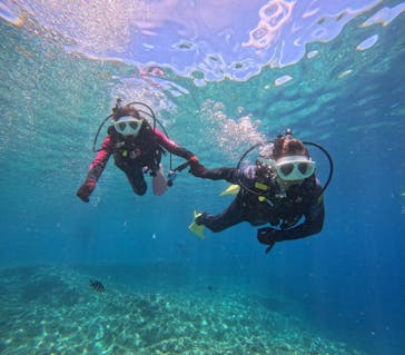 沖縄マリンサービス碧に投稿された画像（2024/7/11）