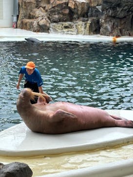 城崎マリンワールドに投稿された画像（2024/7/11）