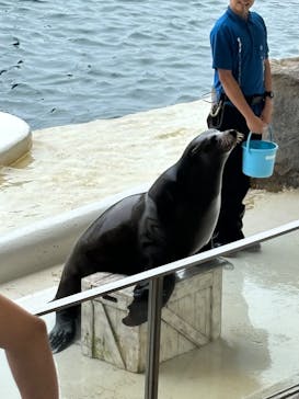 城崎マリンワールドに投稿された画像（2024/7/11）