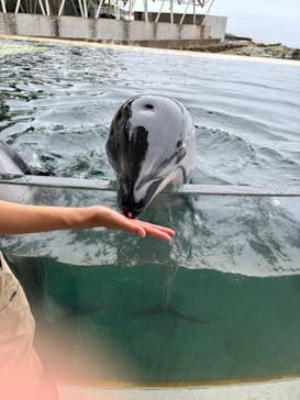 城崎マリンワールドに投稿された画像（2024/7/11）