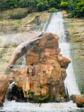 城崎マリンワールドに投稿された画像（2024/7/11）