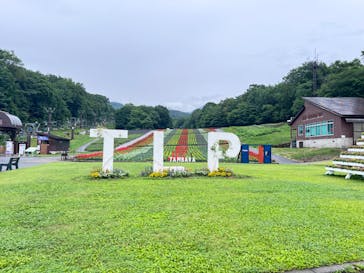 たんばらラベンダーパークに投稿された画像（2024/7/11）