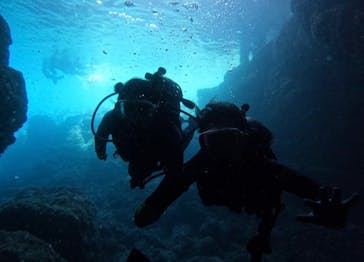 武藤潜水に投稿された画像（2024/7/11）