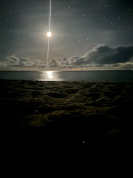 西表島 ADVENTURE PiPi（アドベンチャーピピ）に投稿された画像（2024/7/11）