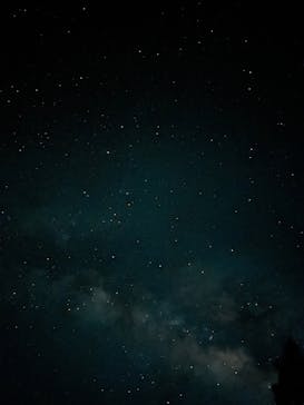 西表島 ADVENTURE PiPi（アドベンチャーピピ）に投稿された画像（2024/7/11）