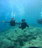 武藤潜水に投稿された画像（2024/7/11）