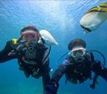 武藤潜水に投稿された画像（2024/7/11）