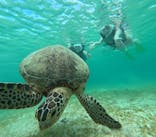 nico 宮古島に投稿された画像（2024/7/11）