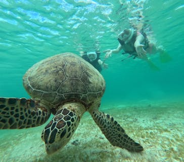 nico 宮古島に投稿された画像（2024/7/11）