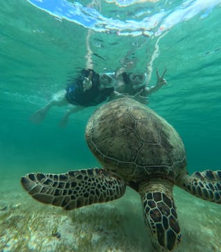 nico 宮古島に投稿された画像（2024/7/11）