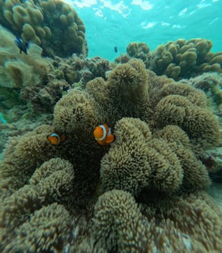 nico 宮古島に投稿された画像（2024/7/11）