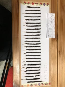 体験工房　寺スペースに投稿された画像（2024/7/11）