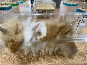 いきもの探検隊上尾に投稿された画像（2024/7/11）