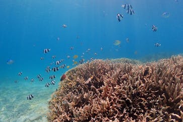 アクアドロップに投稿された画像（2024/7/11）