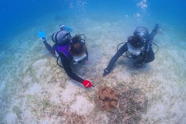 アクアドロップに投稿された画像（2024/7/11）