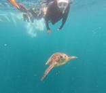  マリンショップHAPPYに投稿された画像（2024/7/11）