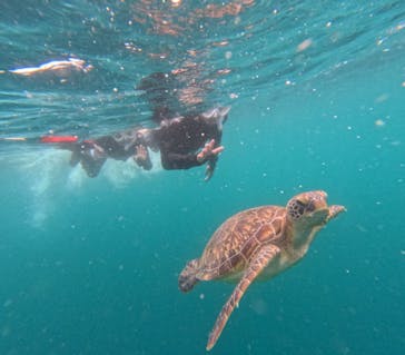  マリンショップHAPPYに投稿された画像（2024/7/11）