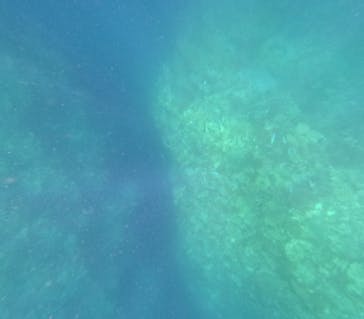  マリンショップHAPPYに投稿された画像（2024/7/11）