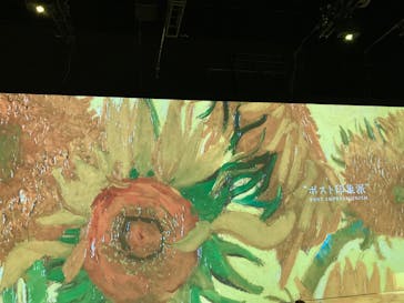 Immersive Museum OSAKA 2025に投稿された画像（2024/7/11）