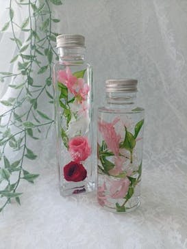 ずこうしつ〜sugamo〜に投稿された画像（2024/7/11）