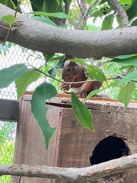 神戸どうぶつ王国に投稿された画像（2024/7/11）