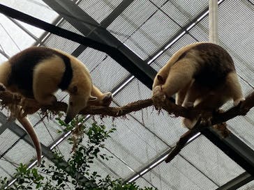 神戸どうぶつ王国に投稿された画像（2024/7/11）