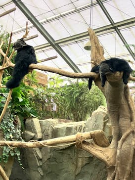 神戸どうぶつ王国に投稿された画像（2024/7/11）