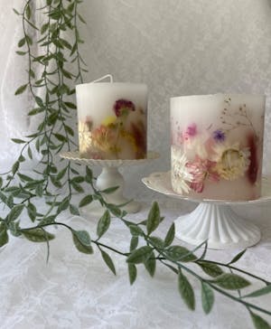 ずこうしつ〜sugamo〜に投稿された画像（2024/7/11）