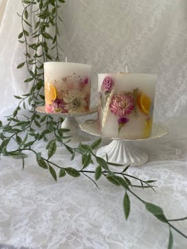 ずこうしつ〜sugamo〜に投稿された画像（2024/7/11）