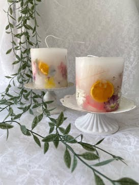 ずこうしつ〜sugamo〜に投稿された画像（2024/7/11）