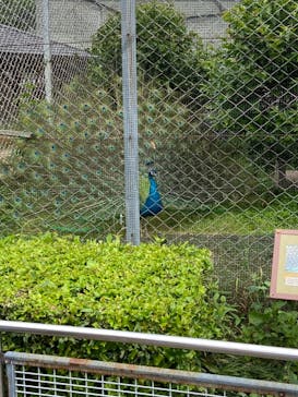 東武動物公園に投稿された画像（2024/7/11）
