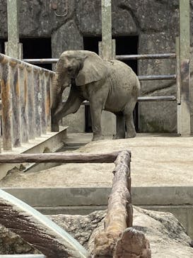 東武動物公園に投稿された画像（2024/7/11）