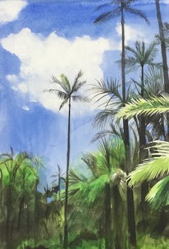 美らヤシパークオキナワ・東南植物楽園に投稿された画像（2024/7/11）