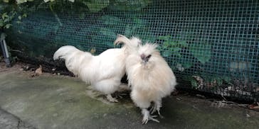 美らヤシパークオキナワ・東南植物楽園に投稿された画像（2024/7/11）