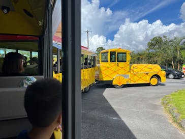 ナゴパイナップルパークに投稿された画像（2024/7/11）