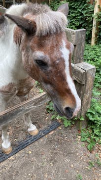 まかいの牧場に投稿された画像（2024/7/11）