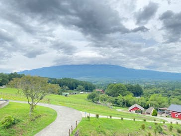 まかいの牧場に投稿された画像（2024/7/11）