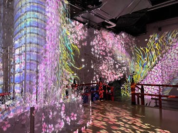 AQUARIUM × ART　atoa×felissimo chocolate museum（フェリシモ チョコレート ミュージアム）に投稿された画像（2024/7/11）